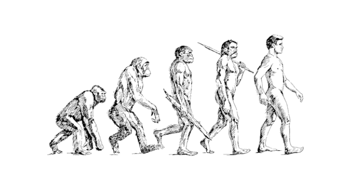 linear evolution